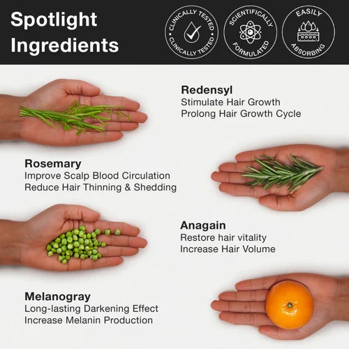 Clinically Proven Rosemary Redensyl Hair Growth Serum with Rosemary 1% Redensyl 3% Anagain 4% and Melanogray 1%